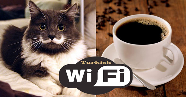 Мобильный интернет в Турции