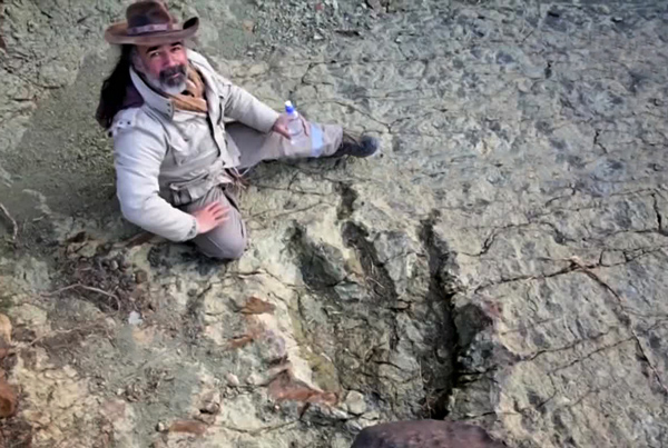 в боливии найден отпечаток динозавра