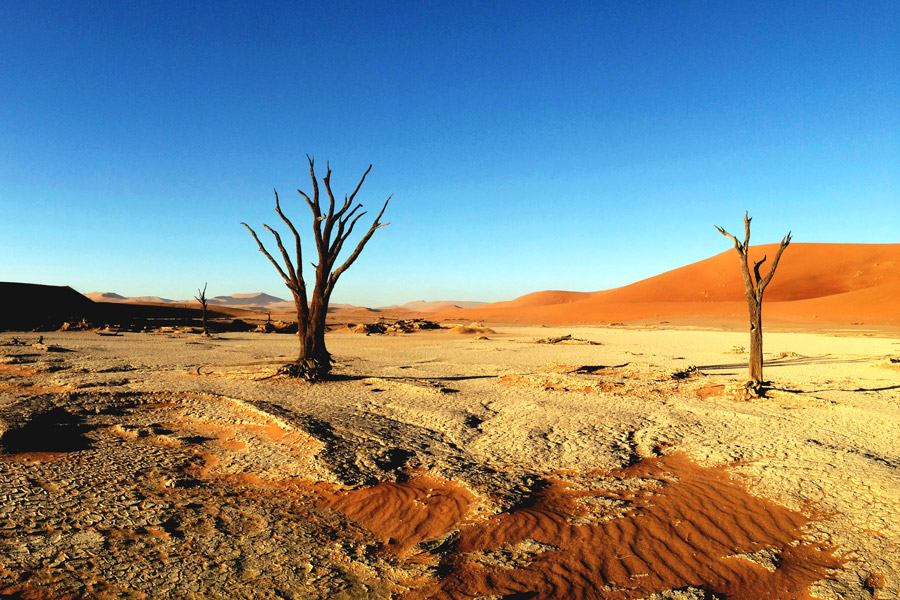 пустыня намиб африка