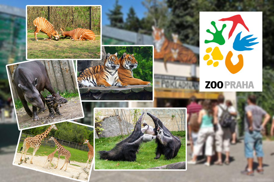 лучшие зоопарки мира