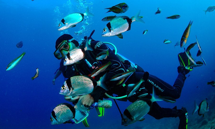 Курорты Доминиканы