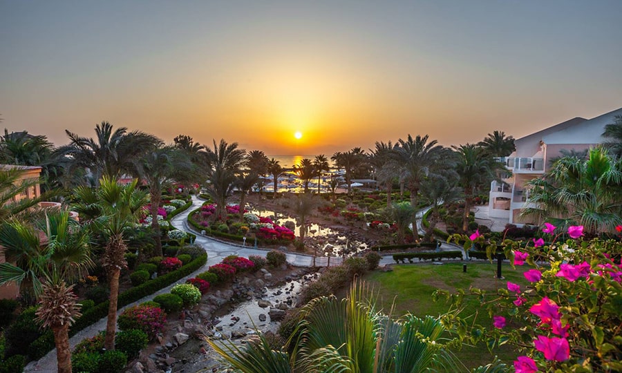 Отель Movenpick Resort & Spa El Gouna 5*. Хургада. Египет