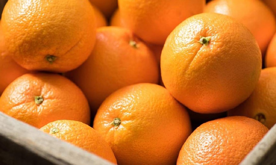 Апельсины. Фрукты Египта
