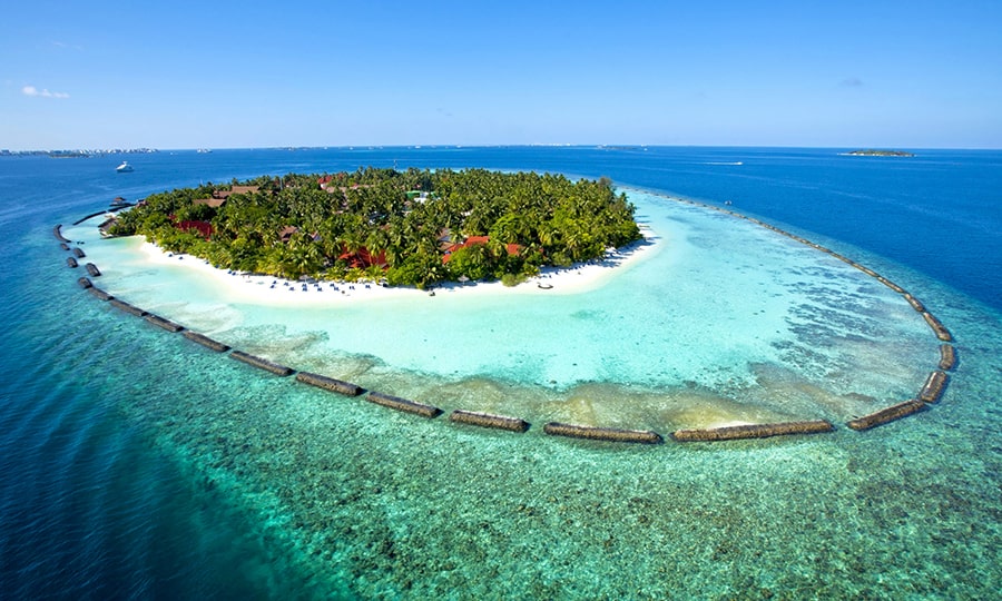 Мальдивы или Сейшелы - природа Мальдив