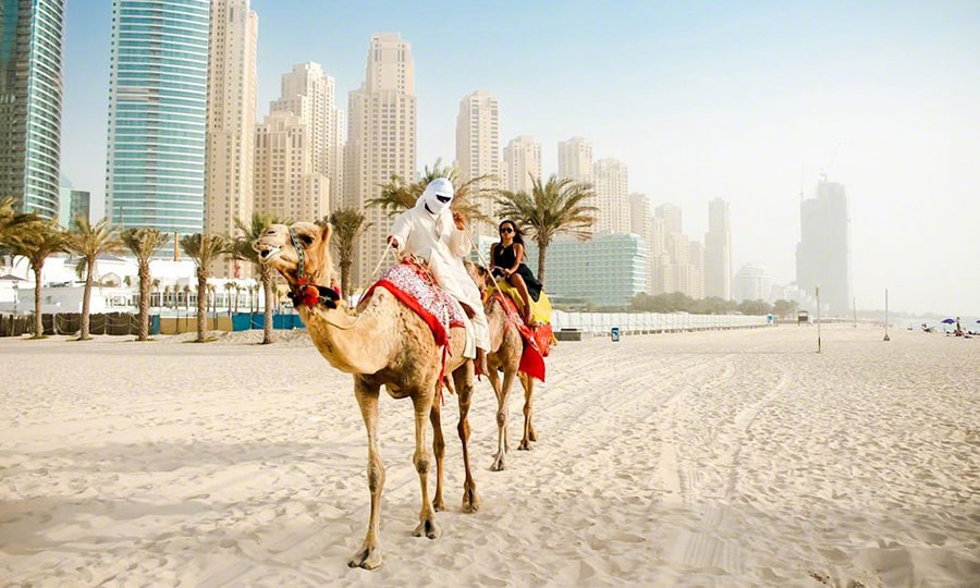 Катание на верблюдах на пляже Дубая