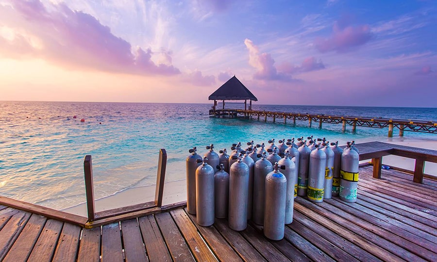 Мальдивы или Сейшелы - подводный мир Мальдив