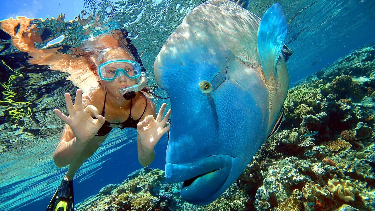 Курорты Египта